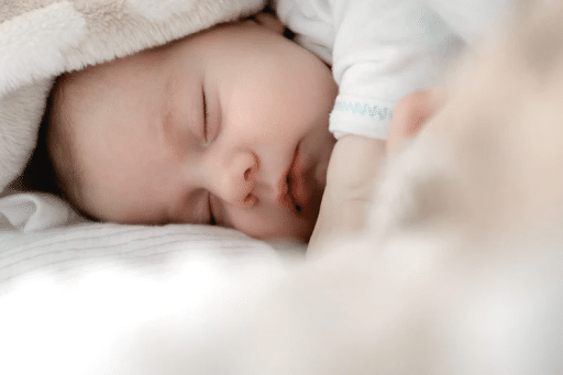 Photo of the head of a sleeping baby in white