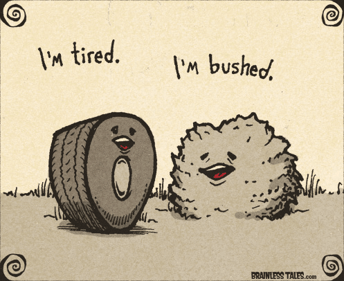 tire saying “I’m tired” and bush saying “I’m bushed” funny image