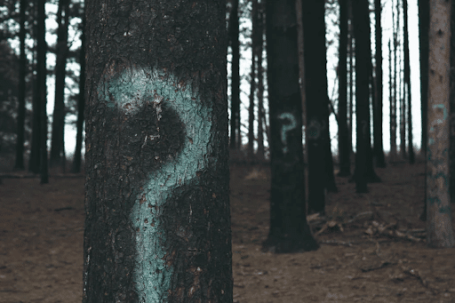 Forest trees marked with question marks